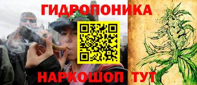 мяу мяу мука Лесосибирск