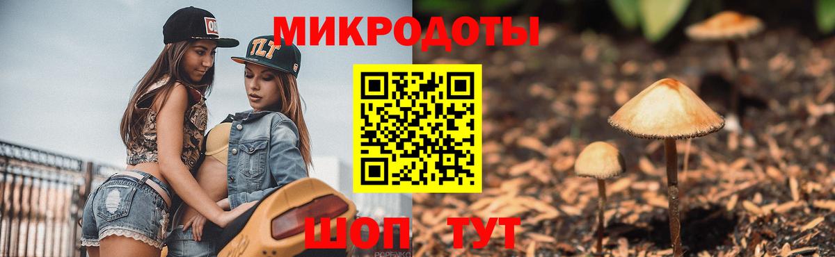 Удомля  наркотики  Вход с VPN  Псилоцибиновые грибы MAGIC MUSHROOMS 