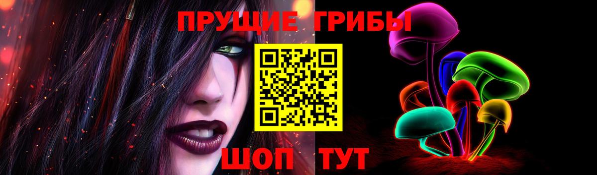 Псилоцибиновые грибы GOLDEN TEACHER Удомля